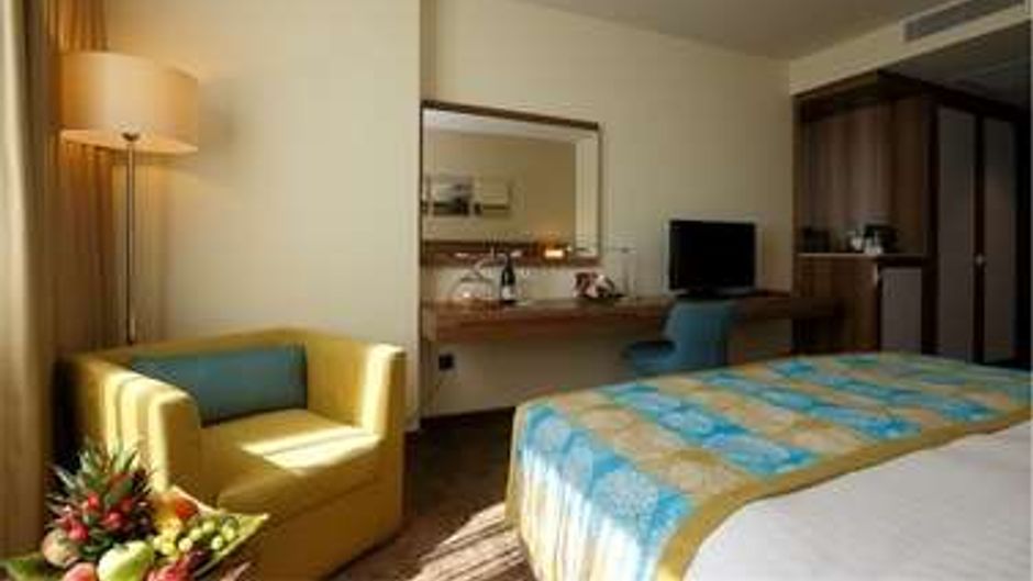 Tuyap Palas Room