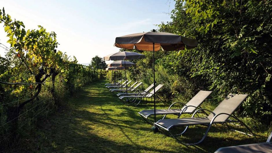 Steigenberger Hotel & Spa Krems Exterior