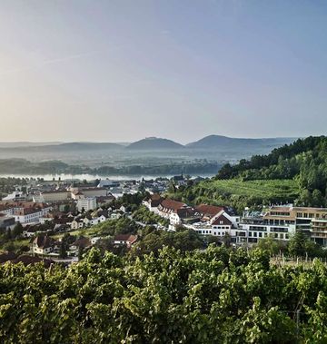 Steigenberger Hotel & Spa Krems