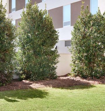 Home2 Suites by Hilton Prattville