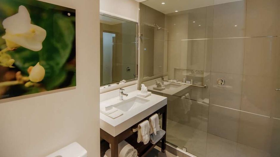Hilton Garden Inn Puebla Angelopolis Room