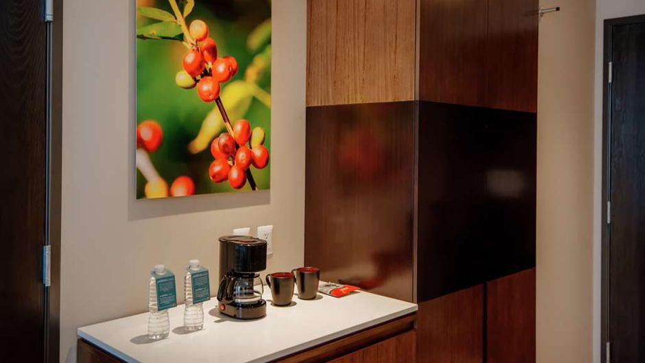 Hilton Garden Inn Puebla Angelopolis Other