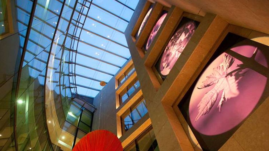 Nexus Valladolid Suites & Hotel Other