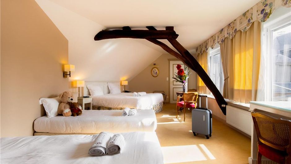 Mercure Moulins Centre - Hotel de Paris Room
