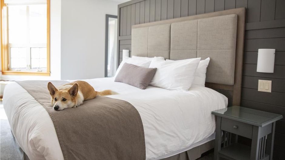 Predator Ridge Resort Room