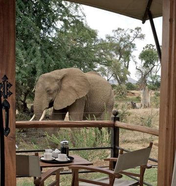 Ashnil Samburu Camp