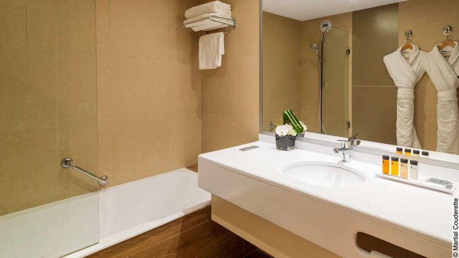 Hotel Lyon Metropole Room