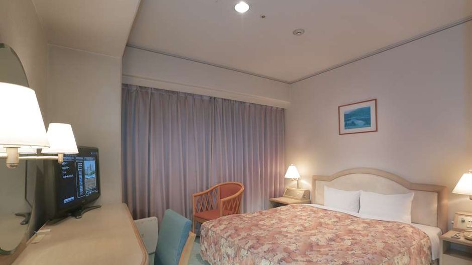 Takarazuka Washington Hotel Room