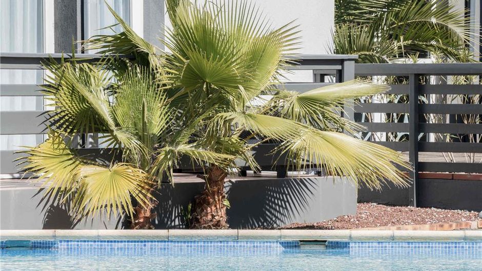 Ibis Styles Perpignan Canet Pool
