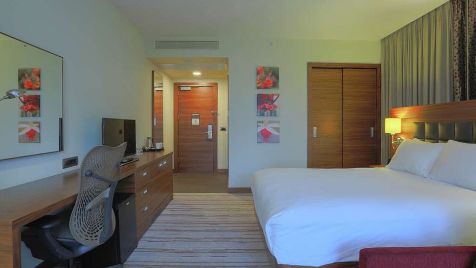 Hilton Garden Inn Eskisehir Room