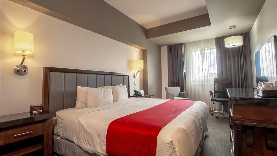 Best Western Plus Santa Cecilia Pachuca Room