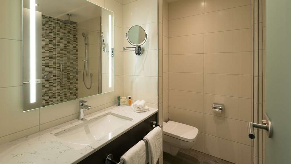 Hilton Garden Inn Frankfurt City Centre Room