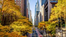 Millennium Hilton New York One UN Plaza