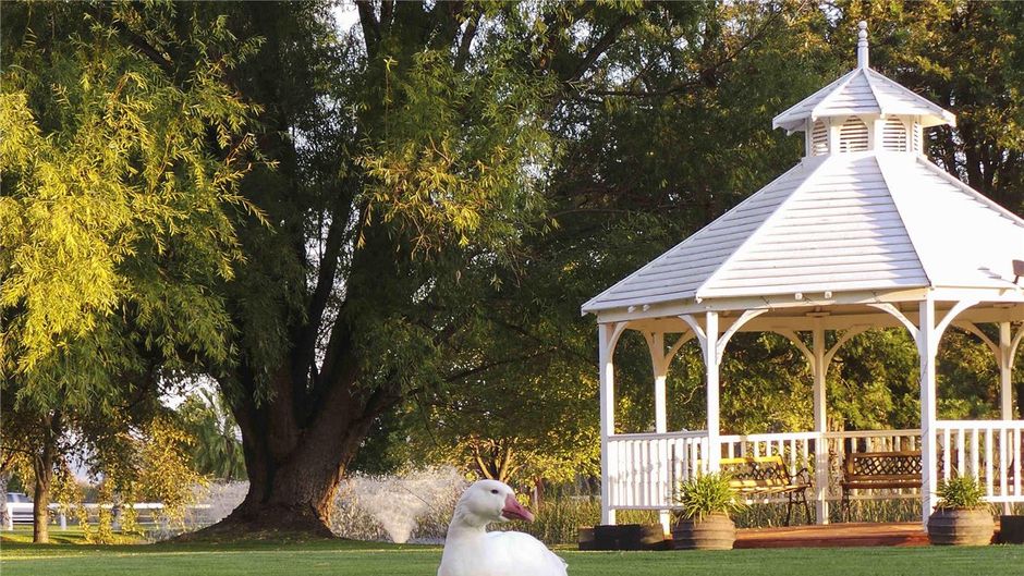 Parklands Resort & Conference Ctr Other