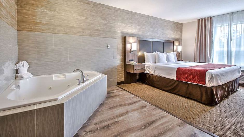 Comfort Inn & Suites South Room