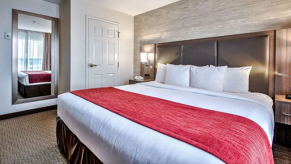 Comfort Inn & Suites South Room