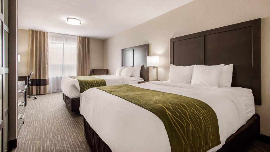 Comfort Inn & Suites Red Deer Room