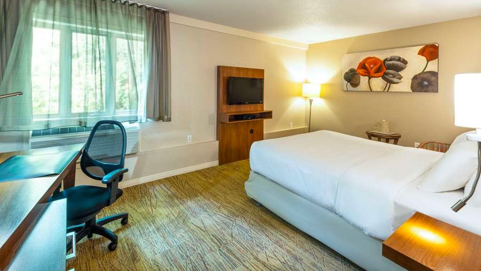 Comfort Inn Room