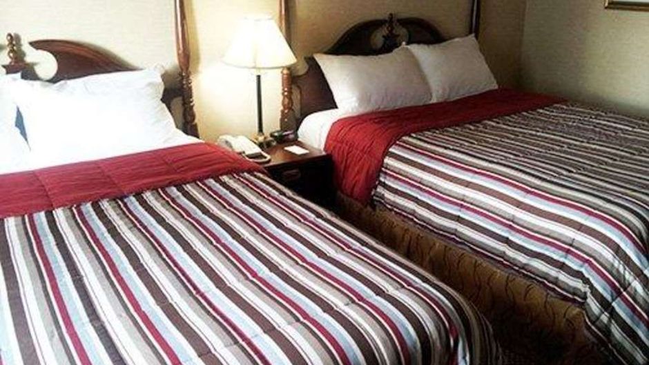 Econo Lodge City Centre Kingston Room