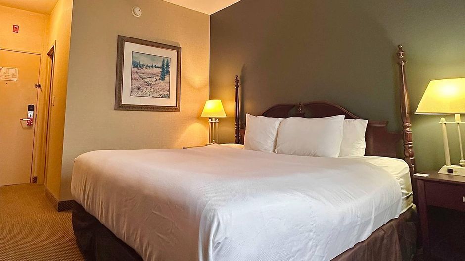 Econo Lodge City Centre Kingston Room