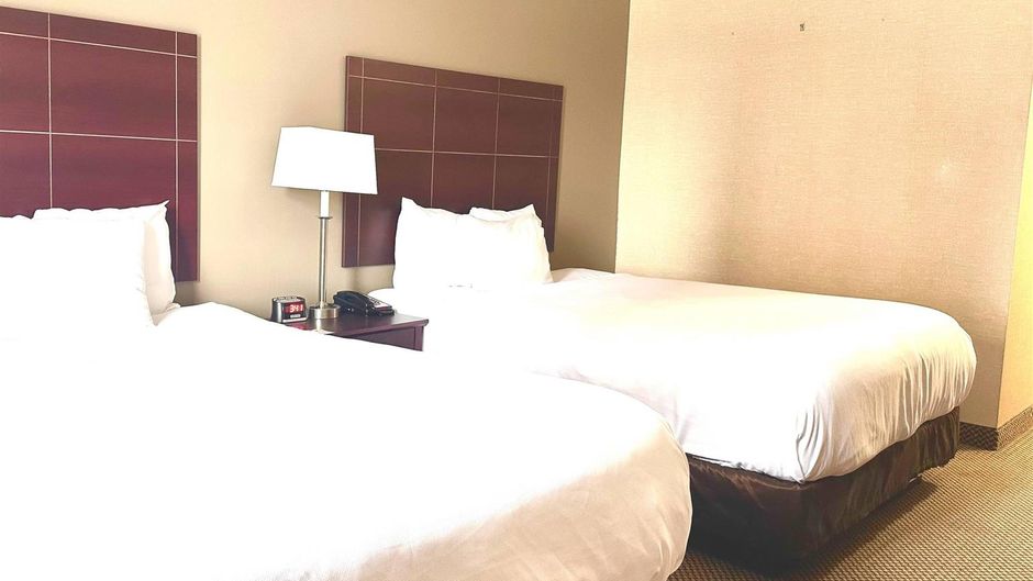 Econo Lodge City Centre Kingston Room