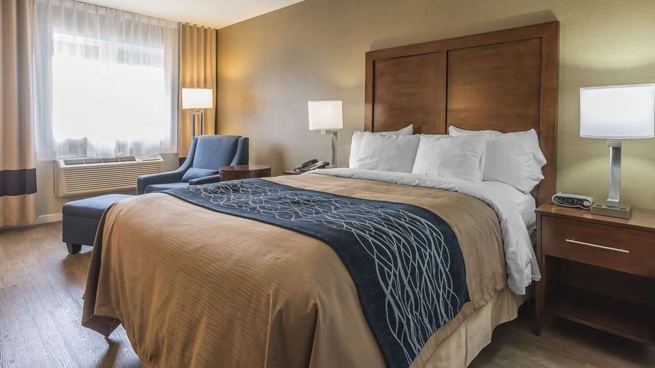 Comfort Inn Room