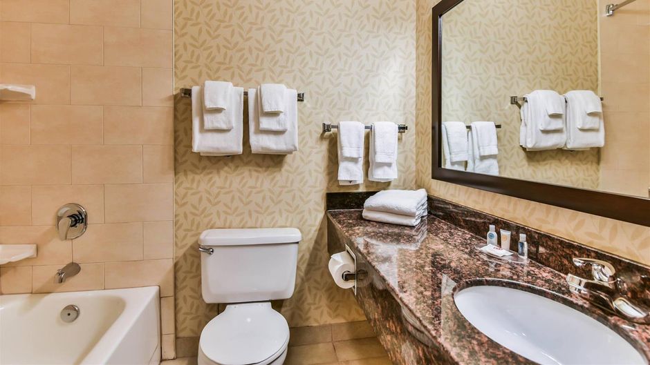Comfort Inn & Suites Ambassador Bridge Room