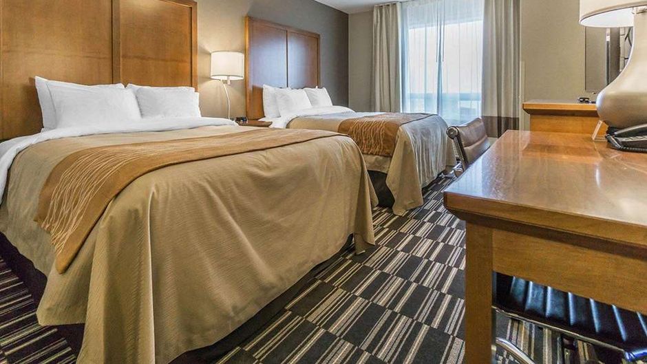 Comfort Inn & Suites Edmonton Intl Room