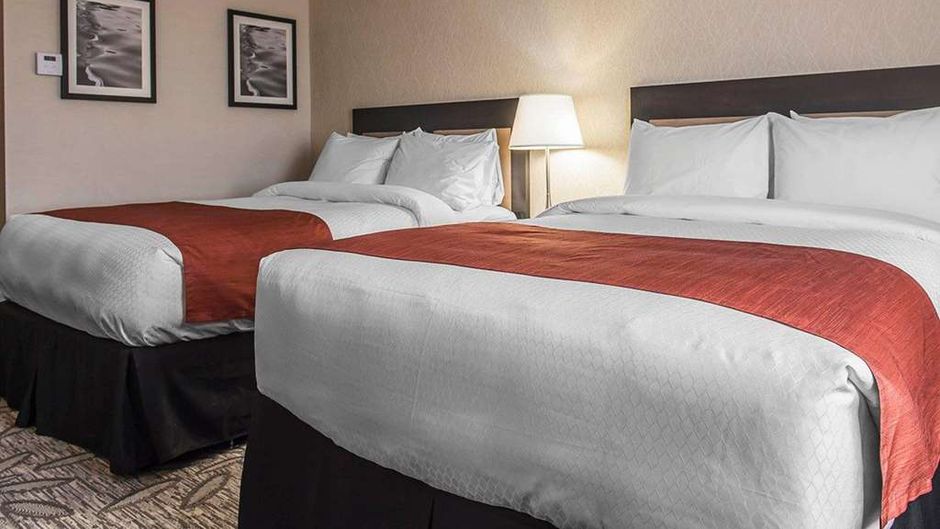 Quality Inn & Suites Kingston Room