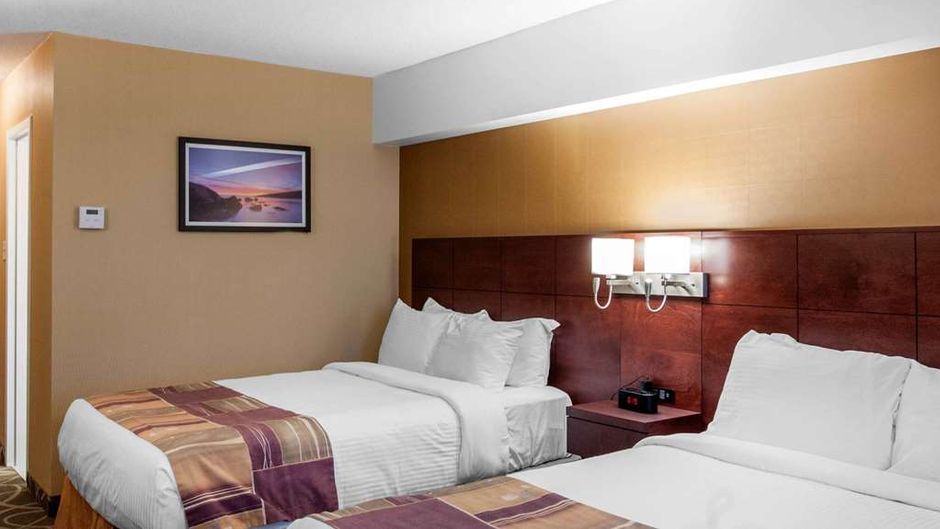 Quality Hotel & Suites Gander Room
