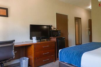 Comfort Inn North