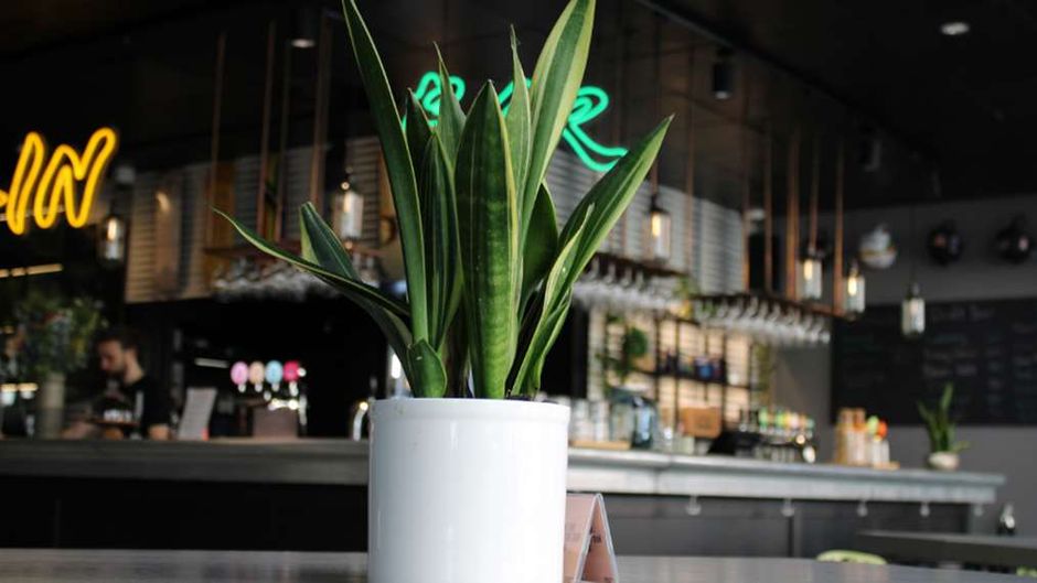 Comfort Hotel Vesterbro Restaurant