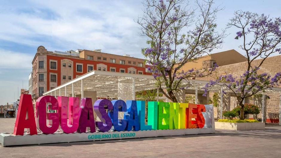 Quality Inn Aguascalientes Other