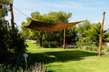 Petunia Ibiza