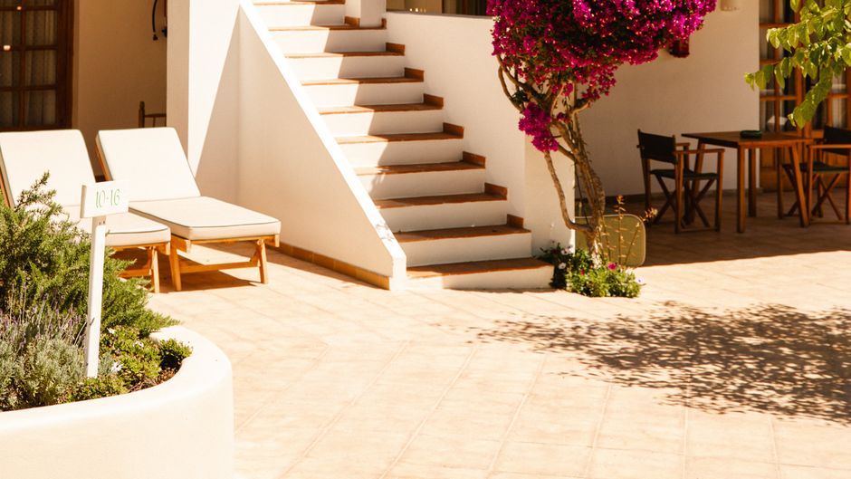 Petunia Ibiza Exterior