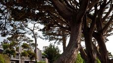 Lighthouse Lodge & Cottages
