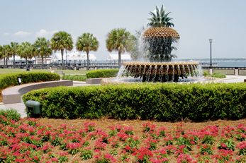 DoubleTree by Hilton Charleston