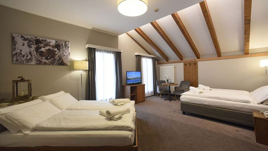 Hotel Orso Grigio Room