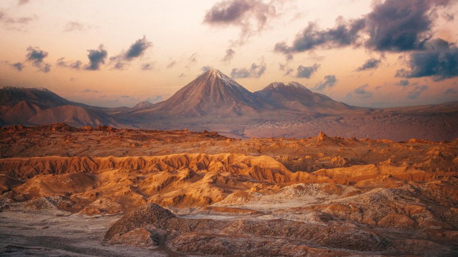Alto Atacama Other