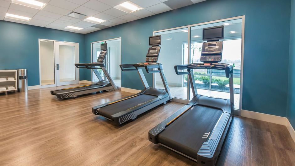Holiday Inn Express & Suites Welland Health Club