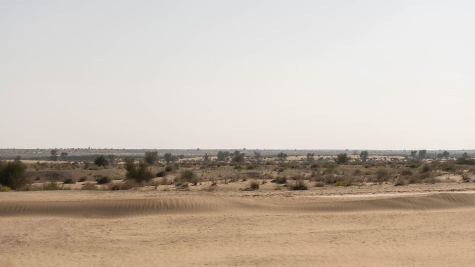 Bab Al Shams Desert Resort & Spa Exterior