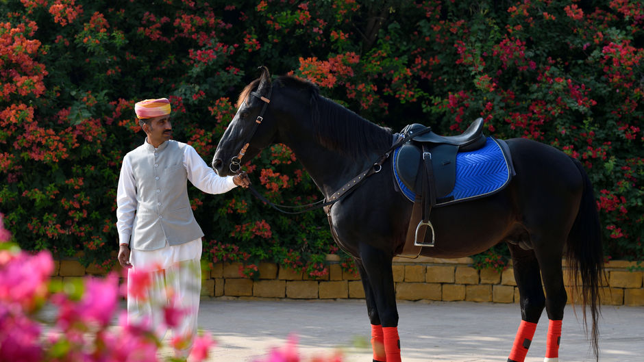 Suryagarh Recreation