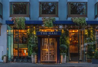 The Hari