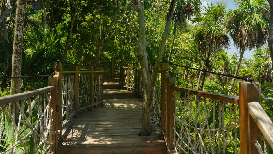 Kimpton Grand Roatan Resort Other