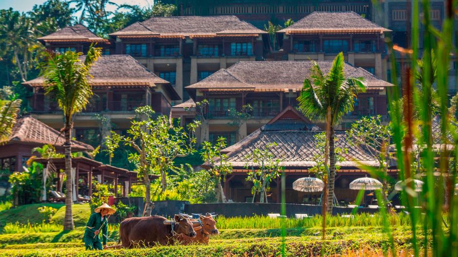 Mandapa, a Ritz-Carlton Reserve Other