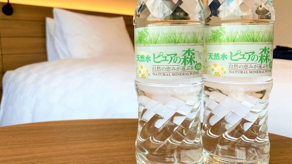 Sapporo Prince Hotel Recreation