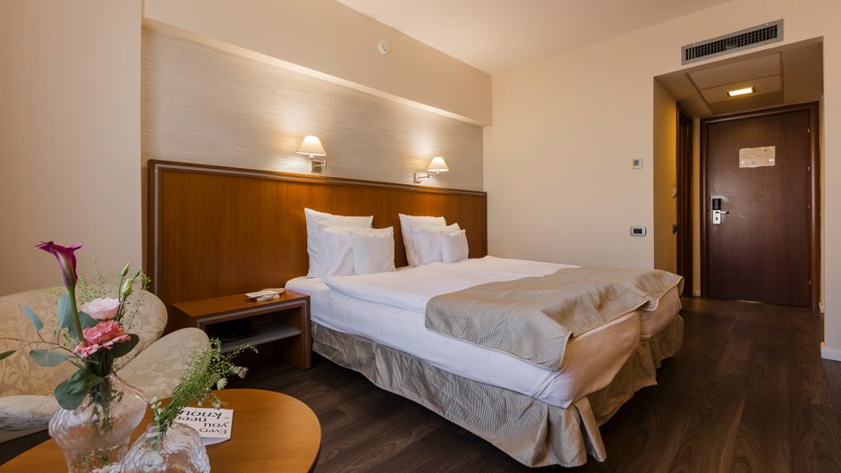 Timisoara Hotel Room