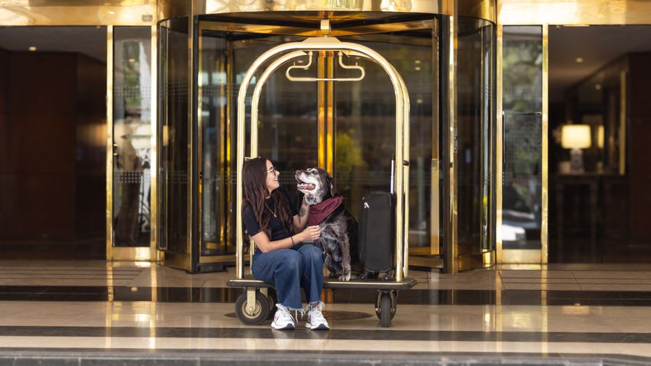 Sheraton Mexico City Maria Isabel Hotel Exterior