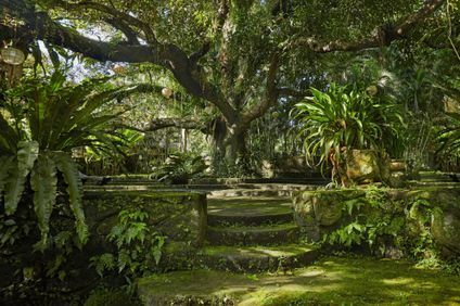 The Farm At San Benito