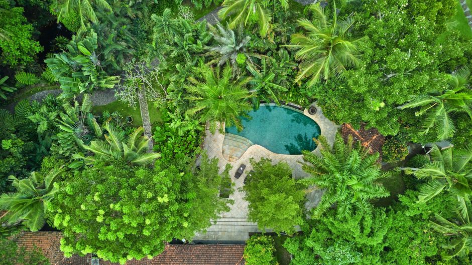 The Farm At San Benito Suite